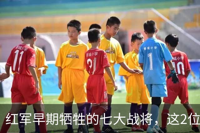 红军早期牺牲的七大战将，这2位是元帅级人物